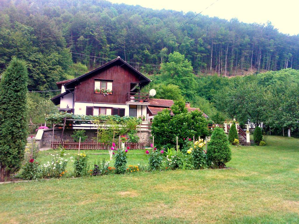 Villa Lalka Ribarica Exteriér fotografie